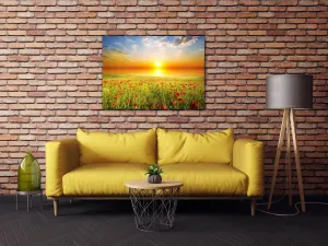 Impresi Obraz Makové polia - 70 x 50 cm