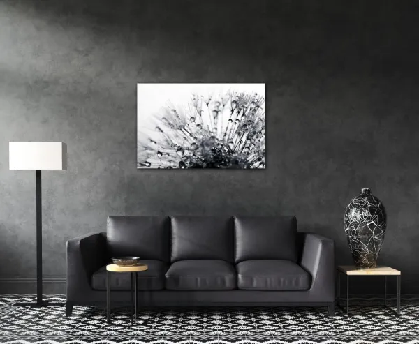 Impresi Obraz Púpava s kvapkami vody - 60 x 40 cm