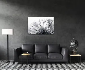 Impresi Obraz Púpava s kvapkami vody - 60 x 40 cm