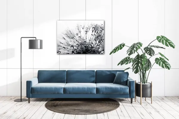 Impresi Obraz Púpava s kvapkami vody - 70 x 50 cm