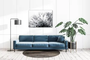 Impresi Obraz Púpava s kvapkami vody - 70 x 50 cm