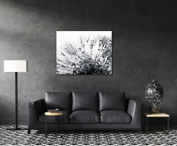 Impresi Obraz Púpava s kvapkami vody - 90 x 70 cm