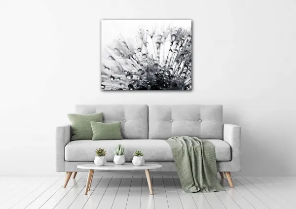 Impresi Obraz Púpava s kvapkami vody - 90 x 70 cm