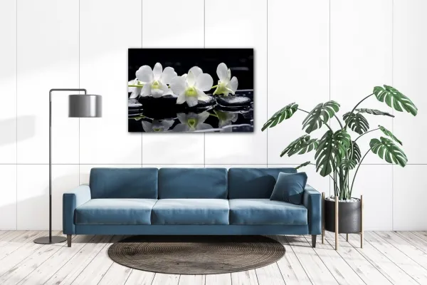 Impresi Obraz Biele orchidee na čiernom pozadí - 60 x 40 cm