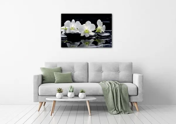 Impresi Obraz Biele orchidee na čiernom pozadí - 60 x 40 cm