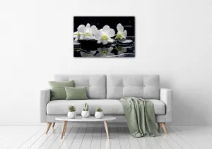 Impresi Obraz Biele orchidee na čiernom pozadí - 60 x 40 cm