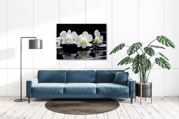 Impresi Obraz Biele orchidee na čiernom pozadí - 70 x 50 cm