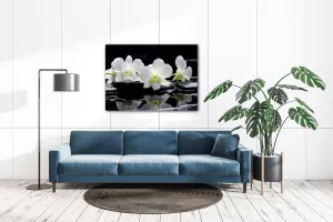 Impresi Obraz Biele orchidee na čiernom pozadí - 70 x 50 cm