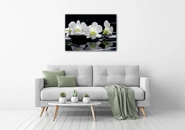 Impresi Obraz Biele orchidee na čiernom pozadí - 70 x 50 cm