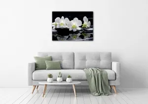 Impresi Obraz Biele orchidee na čiernom pozadí - 70 x 50 cm