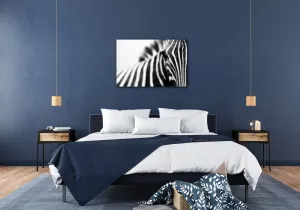 Impresi Obraz Zebra detail - 60 x 40 cm