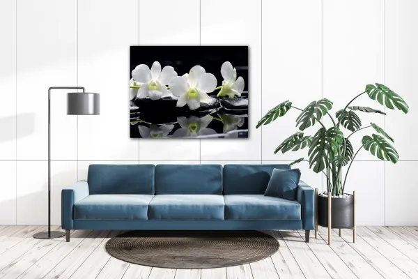 Impresi Obraz Biele orchidee na čiernom pozadí - 90 x 70 cm