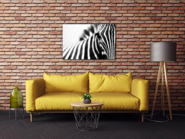 Impresi Obraz Zebra detail - 60 x 40 cm