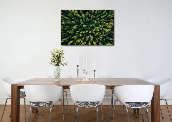 Impresi Obraz Les - 90 x 60 cm