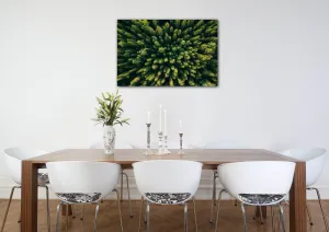 Impresi Obraz Les - 90 x 60 cm