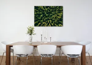 Impresi Obraz Les - 70 x 50 cm