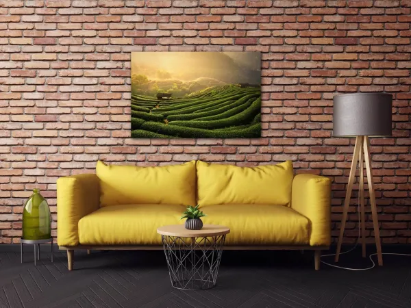 Impresi Obraz Východ slnka čajovníková plantáž - 60 x 40 cm