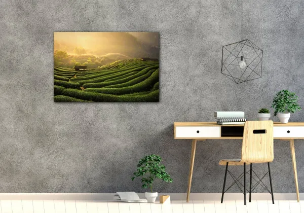 Impresi Obraz Východ slnka čajovníková plantáž - 60 x 40 cm