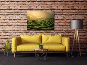 Impresi Obraz Východ slnka čajovníková plantáž - 70 x 50 cm