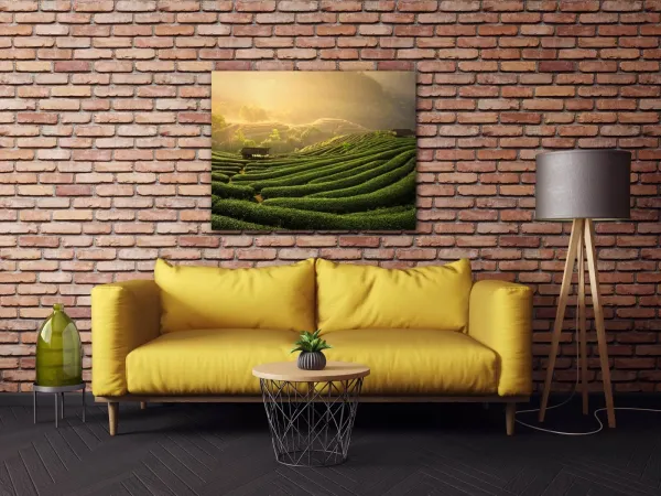 Impresi Obraz Východ slnka čajovníková plantáž - 90 x 70 cm