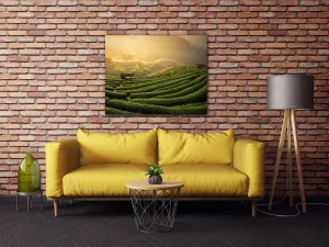 Impresi Obraz Východ slnka čajovníková plantáž - 90 x 70 cm