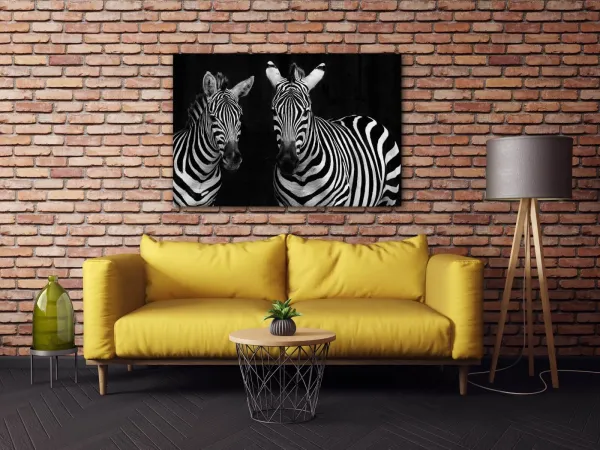 Impresi Obraz Dve zebry čiernobiele - 60 x 40 cm