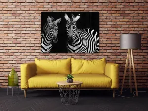 Impresi Obraz Dve zebry čiernobiele - 70 x 50 cm