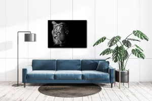 Impresi Obraz Tiger čiernobiely - 70 x 50 cm