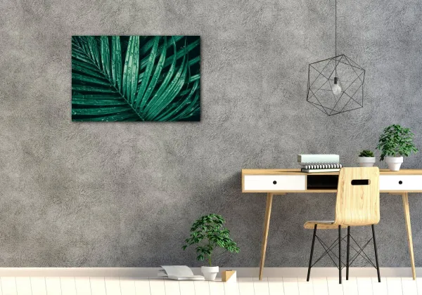 Impresi Obraz Detail listu s kvapkami vody - 90 x 60 cm