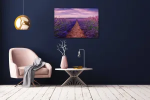 Impresi Obraz Levanduľové polia - 90 x 60 cm