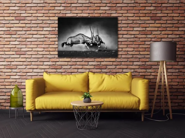 Impresi Obraz Antilopy čiernobiele - 60 x 40 cm