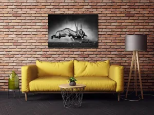 Impresi Obraz Antilopy čiernobiele - 60 x 40 cm
