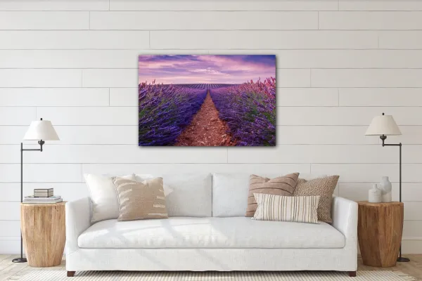 Impresi Obraz Levanduľové polia - 90 x 60 cm