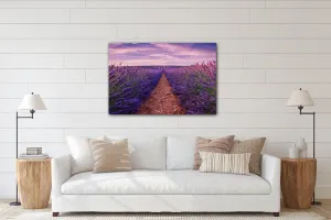 Impresi Obraz Levanduľové polia - 90 x 60 cm