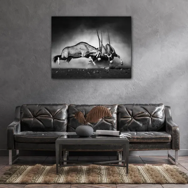 Impresi Obraz Antilopy čiernobiele - 90 x 70 cm