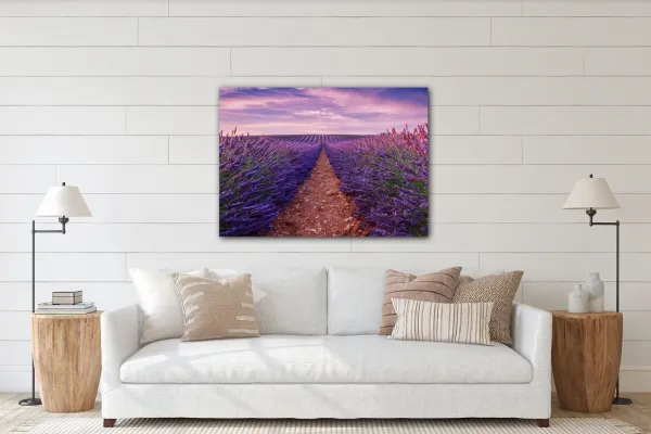 Impresi Obraz Levanduľové polia - 70 x 50 cm