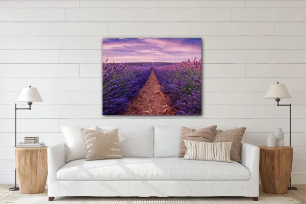 Impresi Obraz Levanduľové polia - 90 x 70 cm