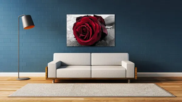 Impresi Obraz Ruže na čiernobielom pozadí - 60 x 40 cm