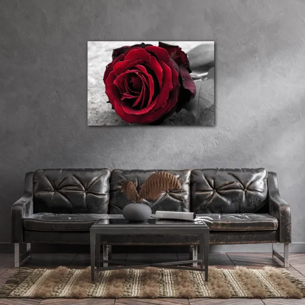Impresi Obraz Ruže na čiernobielom pozadí - 60 x 40 cm