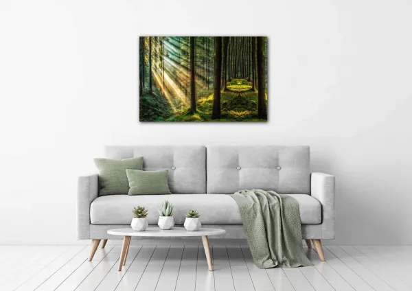 Impresi Obraz Slnečné lúče v lese - 60 x 40 cm