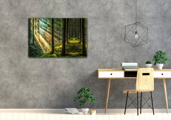 Impresi Obraz Slnečné lúče v lese - 60 x 40 cm