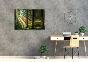 Impresi Obraz Slnečné lúče v lese - 60 x 40 cm