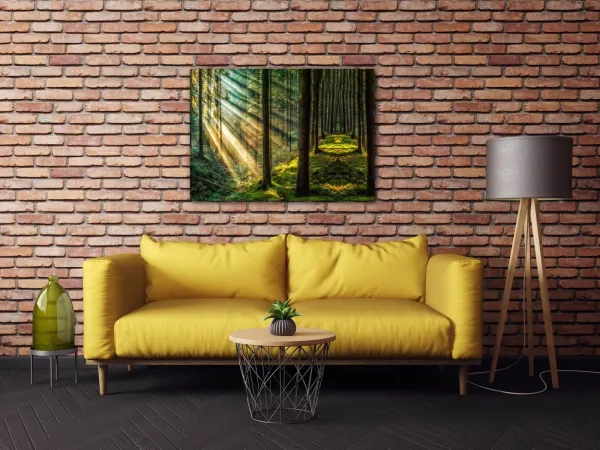 Impresi Obraz Slnečné lúče v lese - 70 x 50 cm