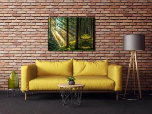 Impresi Obraz Slnečné lúče v lese - 70 x 50 cm