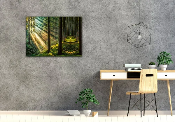 Impresi Obraz Slnečné lúče v lese - 70 x 50 cm