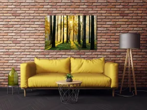 Impresi Obraz Osvietený les - 60 x 40 cm