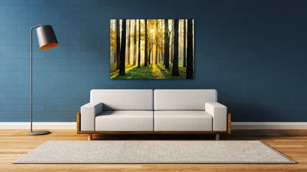 Impresi Obraz Osvietený les - 70 x 50 cm