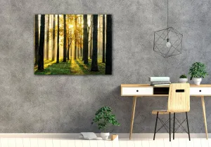 Impresi Obraz Osvietený les - 90 x 70 cm