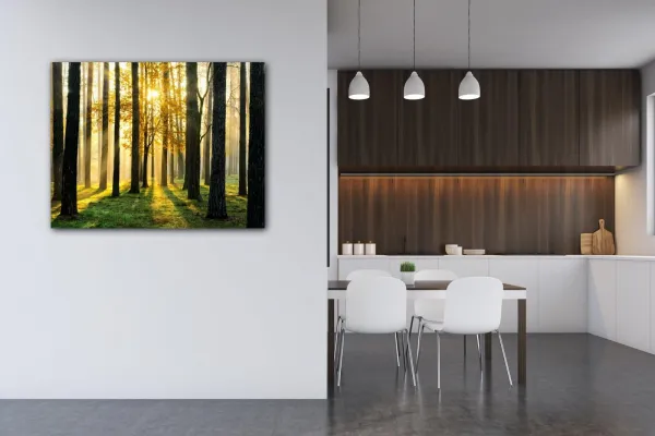 Impresi Obraz Osvietený les - 90 x 70 cm