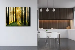 Impresi Obraz Osvietený les - 90 x 70 cm